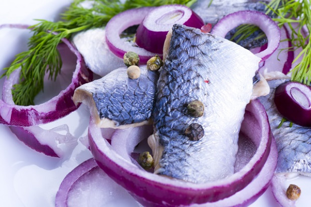 Fot. Shutterstock Śledź wiecznie żywy