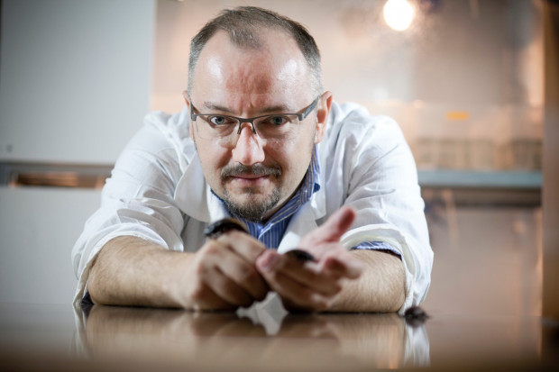 Prof. nadzw. dr hab. Damian Józefiak, jeden z założycieli firmy HiProMine. fot. Paweł Pawłowski Twórca HiProMine: Europejczycy są w awangardzie jeśli chodzi o spożycie owadów