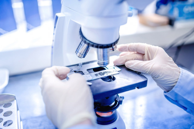 Fot. Shutterstock Konsumenci i eksporterzy odczują skutki zmian w systemie bezpieczeństwa żywności