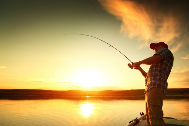 fot. shutterstock.com Poprawki do noweli ustawy o rozwoju sektora rybackiego - większe kompetencje ARiMR