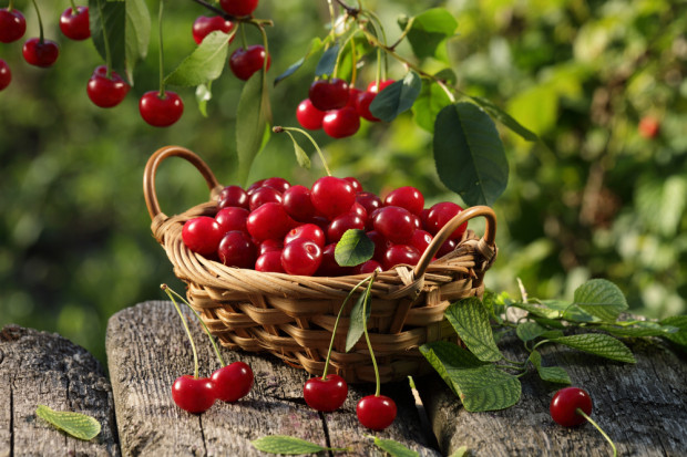 Fot. shutterstock Związek Sadowników przeciwko niskim cenom skupu owoców