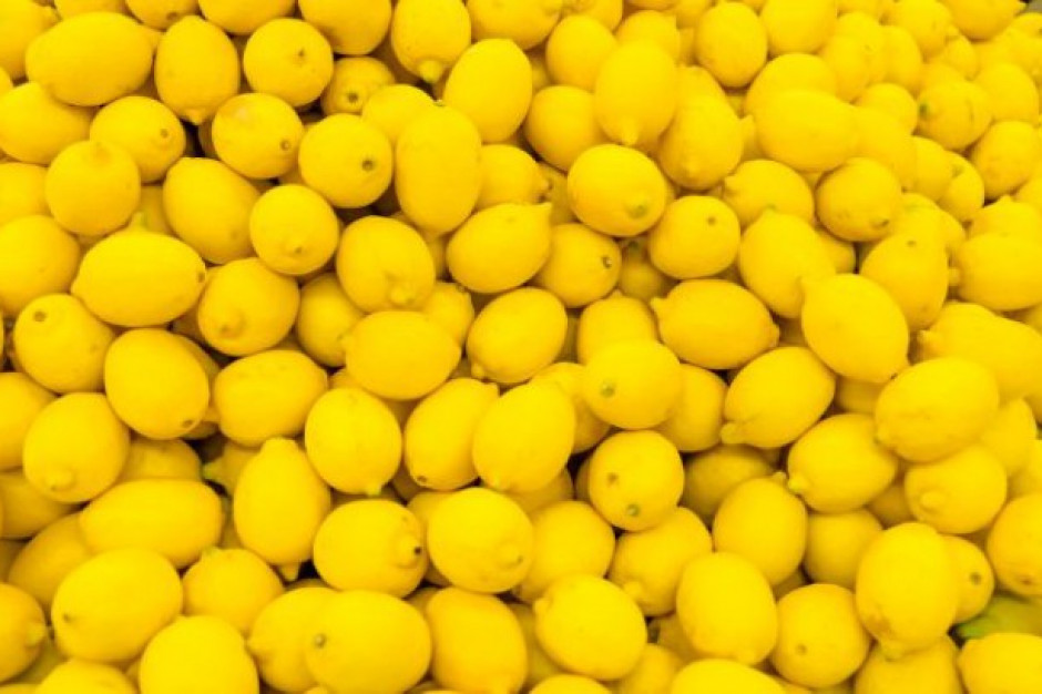 fot. shutterstock.com Ceny cytryn biją rekordy