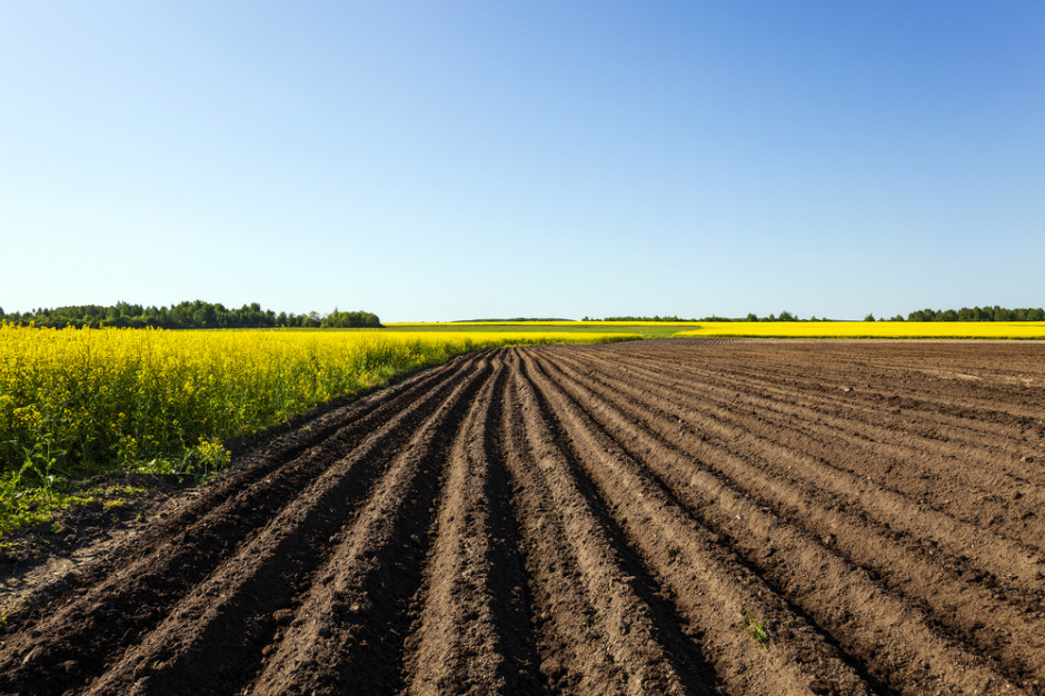 Fot. shutterstock Ustawa o obrocie ziemią rolną podpisana przez prezydenta