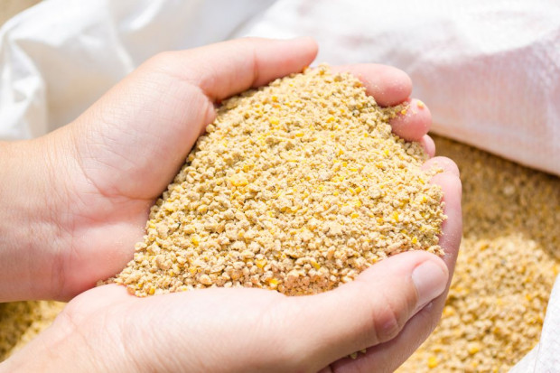 Fot. shutterstock Agrocentrum z Łomży chce przejąć Agrocentrum z Kolna