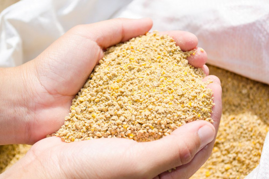 Fot. shutterstock Agrocentrum z Łomży chce przejąć Agrocentrum z Kolna