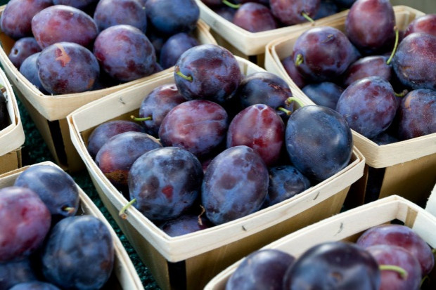 fot. shutterstock Ceny śliwek na rynkach hurtowych kosztują 1-5,5 zł/kg