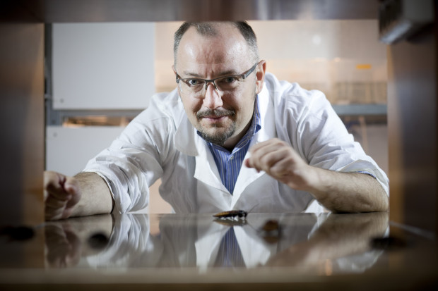Prof. nadzw. dr hab. Damian Józefiak, jeden z założycieli firmy HiProMine. fot. Paweł Pawłowski Prof. Damian Józefiak, prezes HiProMine - cały wywiad
