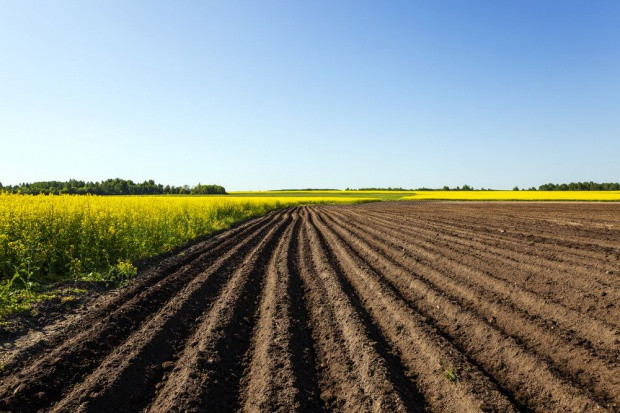 Fot. Shutterstock MRiRW: ustawa o ziemi zgodna z konstytucją, przepisy mają zapobiec spekulacjom