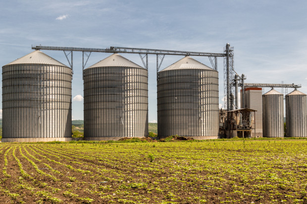 fot. shutterstock Rekordowe zbiory zbóż w USA. Zabraknie silosów