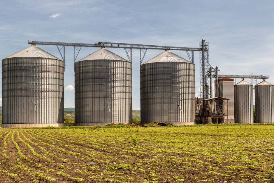 fot. shutterstock Rekordowe zbiory zbóż w USA. Zabraknie silosów