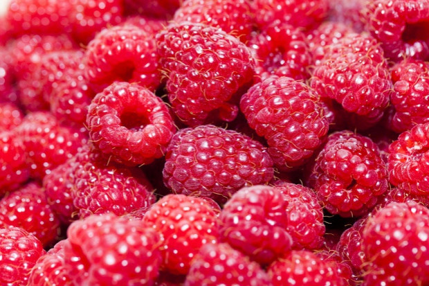 fot. shutterstock Wysokie ceny malin na koniec sezonu