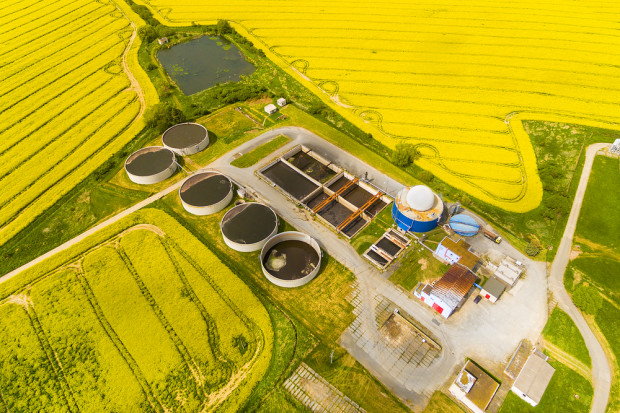 fot. shutterstock KNRB: Projekt nowelizacji ustawy biopaliwowej to zamach na rolnictwo