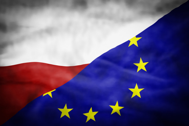 Fot. Shutterstock Minister Jurgiel przedstawi wnioski o wsparciu dla sektora trzody i o rynku cukru