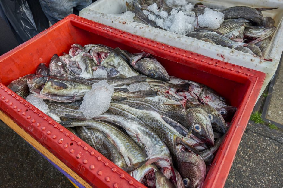 Branża rybna jest skazana na ekspansję zagraniczną