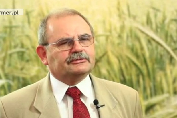 Prof. Tadeusz Michalski, prezes Polskiego Związku Producentów Kukurydzy, fot. Farmer.pl Wciąż zbyt mało polskiej kukurydzy trafia na cele spożywcze