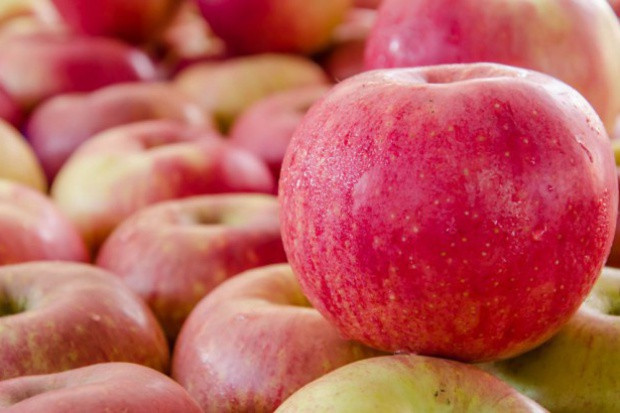 fot. shutterstock.com Amber Foods: W ciągu 2 miesięcy sprzedamy kilkaset ton jabłek do Chin