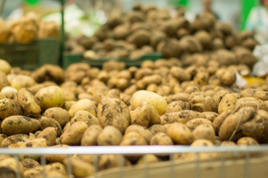 Najwięksi europejscy producenci wyprodukują mniej ziemniaków