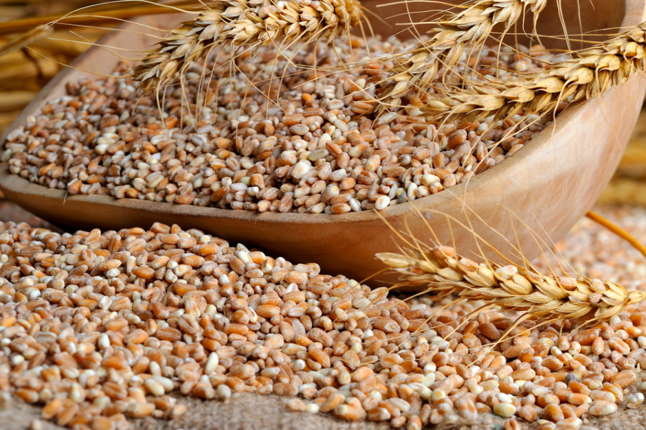 IGC prognozuje większą światową produkcję zbóż