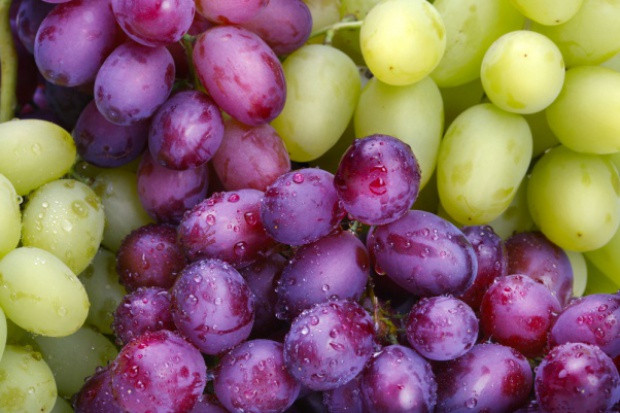 fot. Shutterstock Hiszpanie wracają do starych odmian winogron