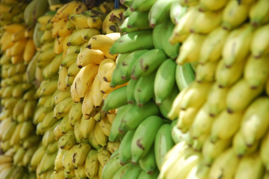 Rynek bananów w UE - dominuje import z państw Ameryki Łacińskiej