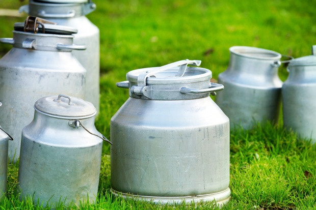 fot. shutterstock.com Credit Agricole: To jeszcze nie koniec wzrostowej fali cyklu na globalnym rynku mleka