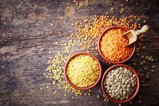 fot. shutterstock Włochy: Rolnicy wracają na pola w Umbrii, by zasiać soczewicę