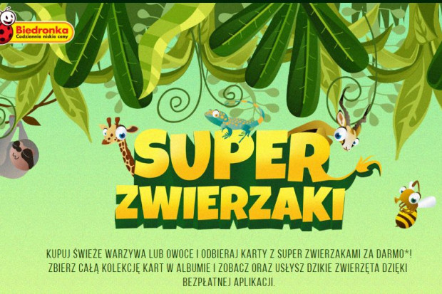 zrzut ekranu biedronka.pl Po akcji