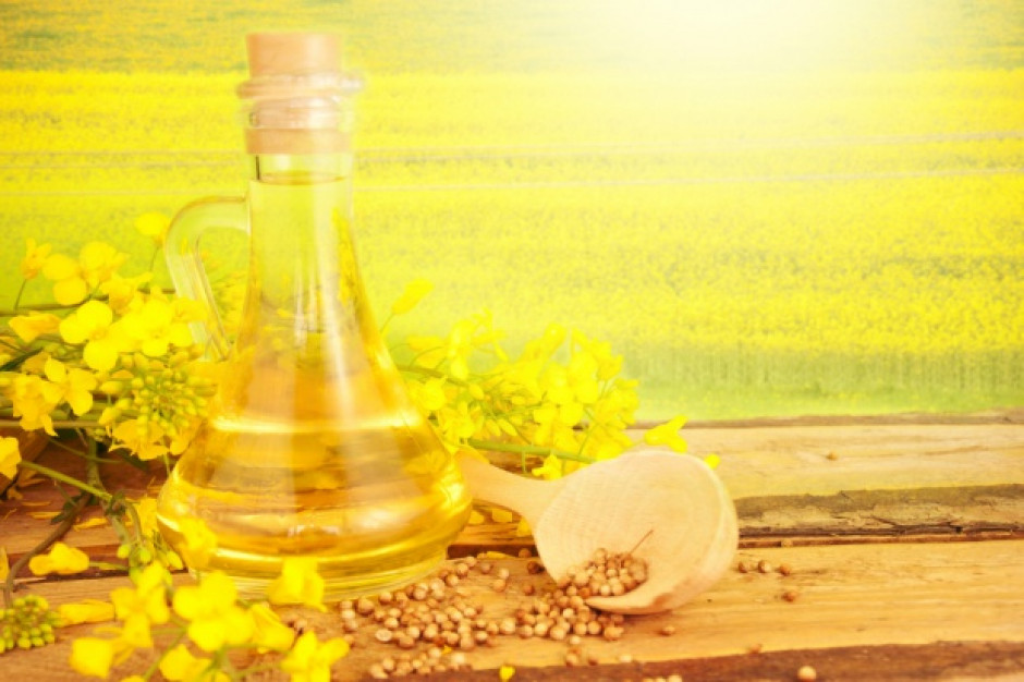 fot. shutterstock Olej rzepakowy trafi pod lupę fiskusa