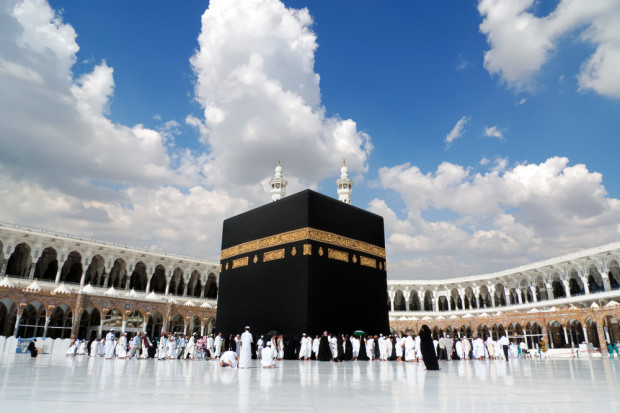 fot. shutterstock Irlandia zwiększy eksport wołowiny do Arabii Saudyjskiej