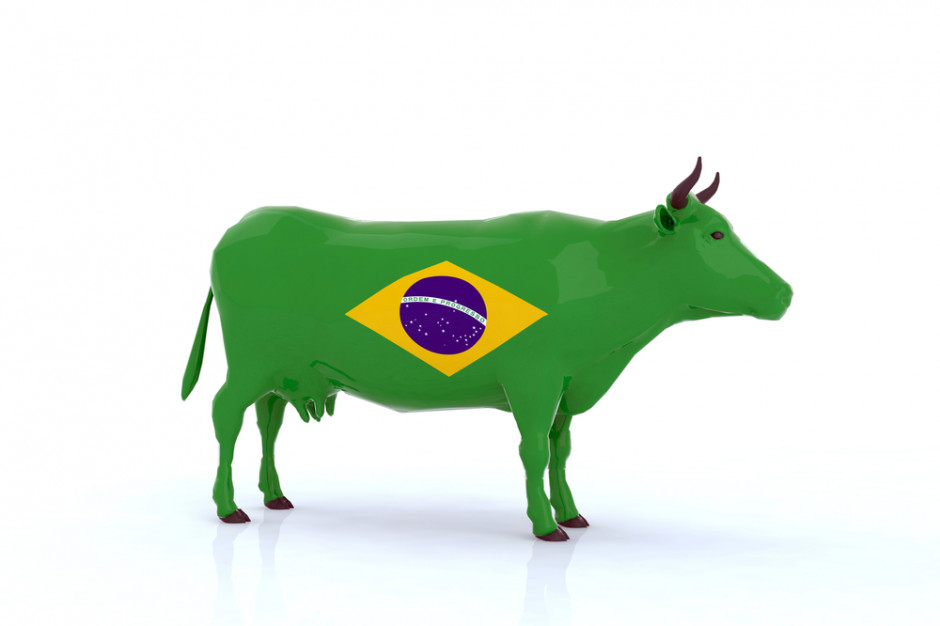 Brazylia liczy na podtrzymanie wysokich prognoz eksportu wołowiny