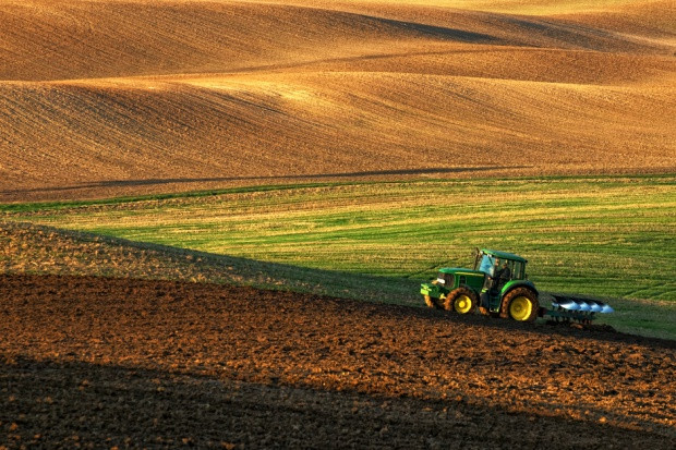 Fot. shutterstock Prezydent podpisał nowelę ustawy o ubezpieczeniach upraw rolnych
