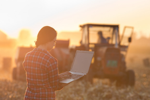 fot. shutterstock MR pracuje nad zmianą przepisów dot. zawierania umów sprzedaży produktów rolnych