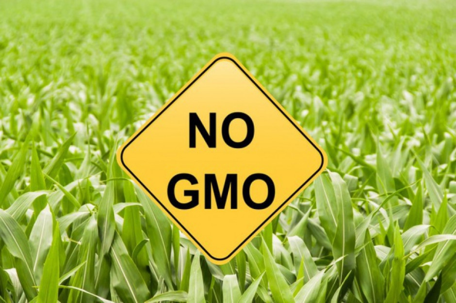 Projekt noweli dot. GMO skierowany do prac w komisjach sejmowych