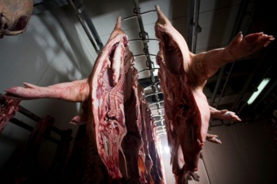 Rosja chce zwiększyć eksport wieprzowiny o 20-30 procent