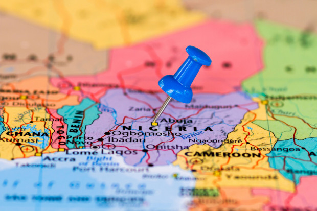 fot. shutterstock Polski drób przemycany do Nigerii?