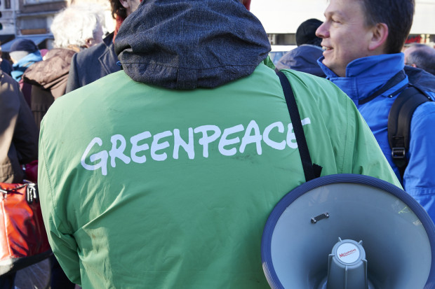 fot. shutterstock Greenpeace i pszczelarze chcą zakazu stosowania pestycydów szkodzących pszczołom