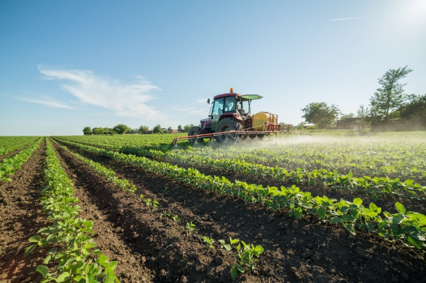 fot. Shutterstock MRiRW przedłużyło do końca maja termin składania wniosków o dopłaty bezpośrednie
