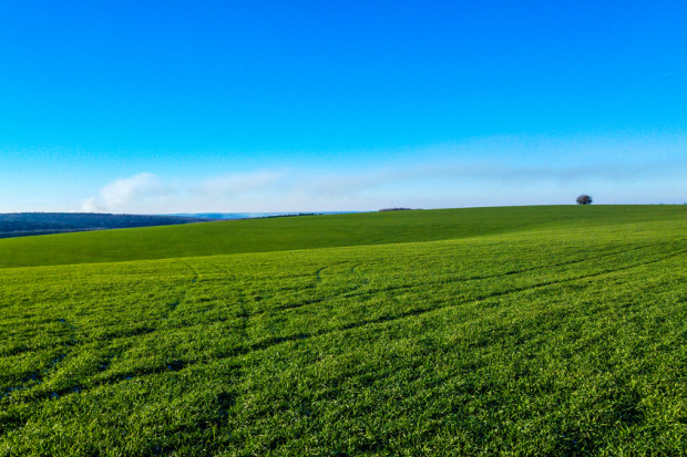 fot. shutterstock Rząd zatwierdził polskie priorytety dot. wspólnej polityki rolnej po 2020