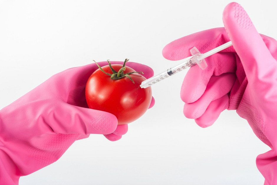 fot. pixabay.com GMO: Areał upraw na świecie wzrósł o 3 proc. w 2016 r.