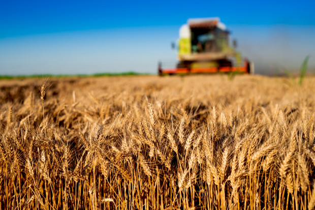 fot. shutterstock ARiMR: Do końca maja rolnicy mogą składać wnioski o tegoroczne dopłaty