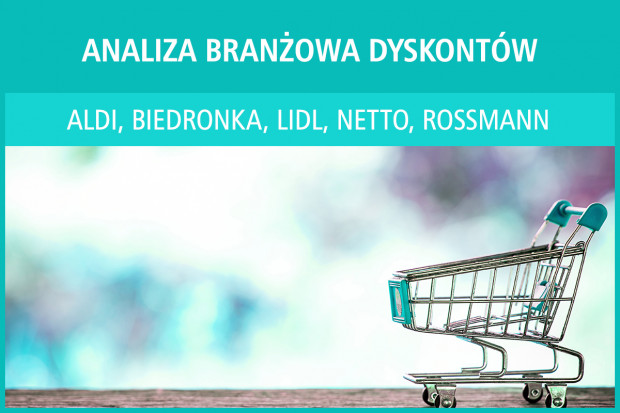 Analiza branżowa dyskontów - edycja 2017