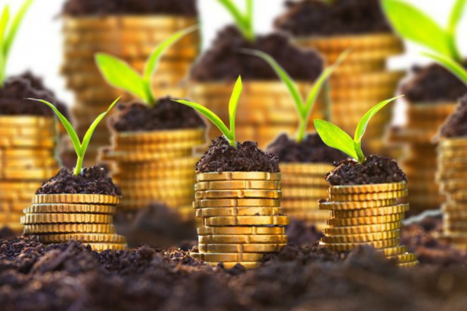 fot. shutterstock ARiMR wypłaciła rolnikom 96,83 proc. z puli środków na płatności bezpośrednie za 2016 r.