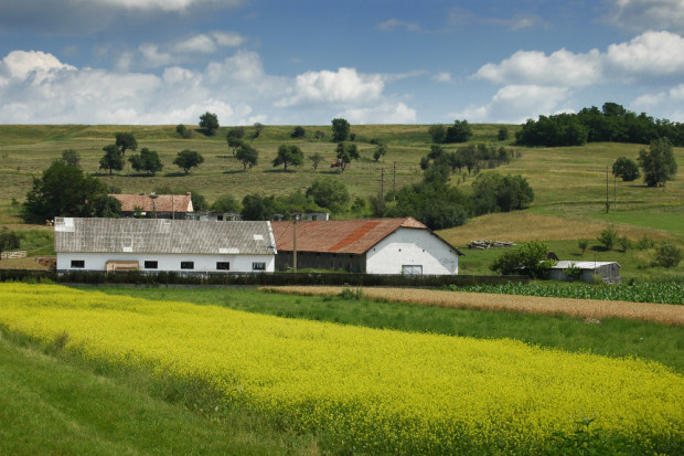 fot. shutterstock Ponad 17 tys. gospodarstw poniosło straty z powodu klęsk żywiołowych