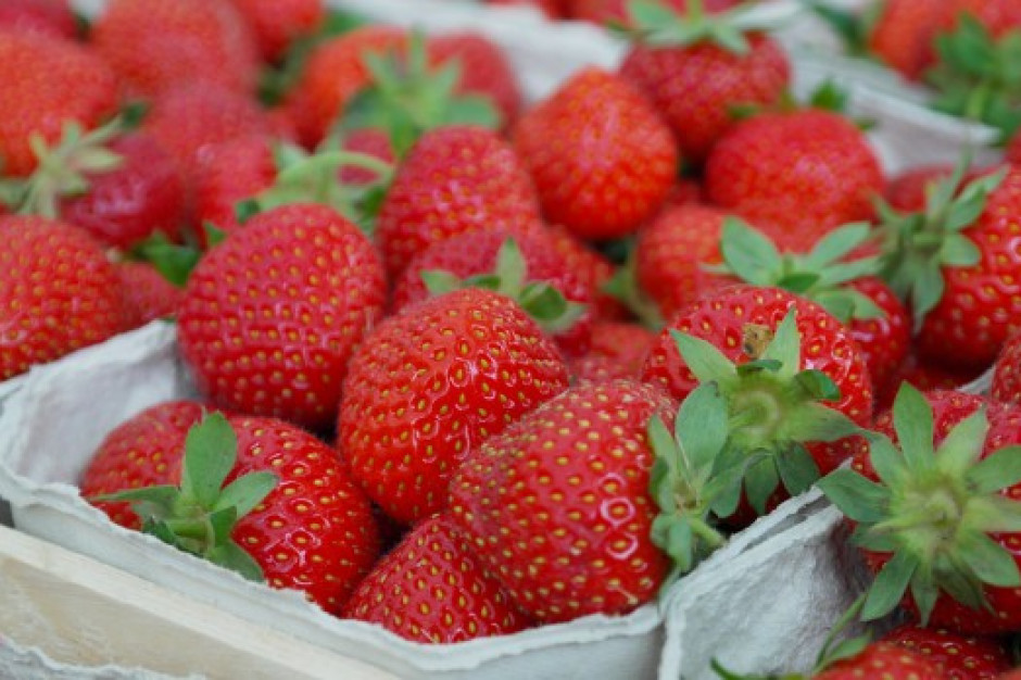 Giełda Goławin: Producenci truskawek zawyżają ceny owoców