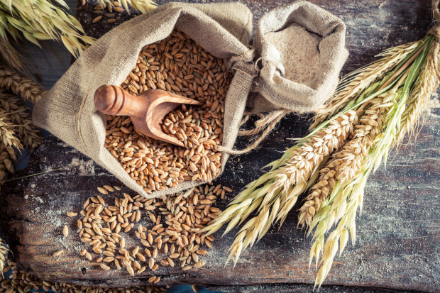 fot. shutterstock KRIR zabrała głos w sprawie napływu produktów rolnych z Ukrainy