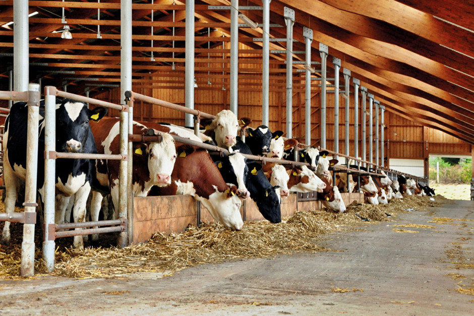Rynek mleka: W standardzie bez GMO