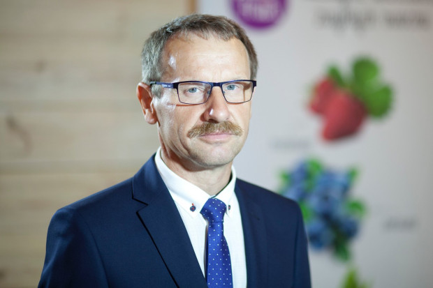 Ireneusz Komorowski Trudny sezon truskawkowy 2017, ale opłacalny dla plantatorów (video)