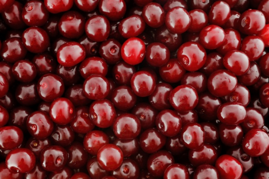 Fot. Shutterstock Wiśnie będą drogie i będzie ich mniej