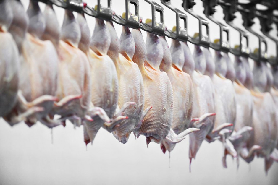 fot. shutterstock.com Branża drobiarska: Na zamieszaniu związanym z Brexitem skorzystają inwestorzy azjatyccy