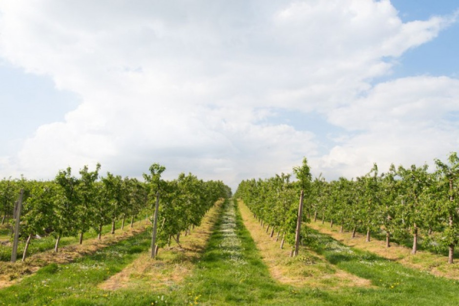 fot. shutterstock.com Kazachstan zainteresowany polskimi technologiami i współpracą w sektorze rolniczym